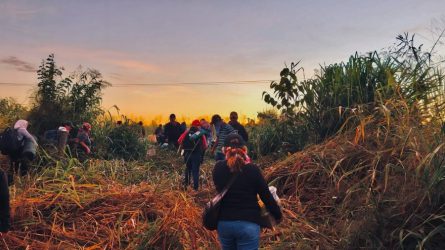 Mulheres Sem Terra ocuparam Usina CBB, em Goiás, Foto: MST-GO