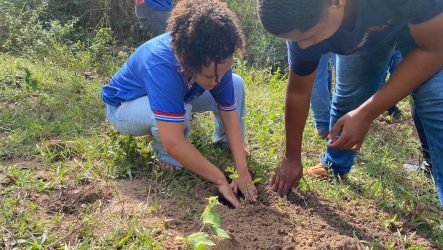 Ato e plantio no assentamento Jaci Rocha, no Extremo Sul da Bahia na Jornada. Foto: MST BA