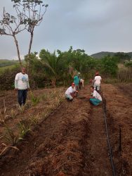 Jornada em Defesa da Natureza em Caruaru. Foto: MST no PE