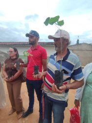 Plantio de Mudas na Escola Joaquim Manoel da Silva, no povoado de Santa Rita - Ouricuri - PE. Foto: MST PE