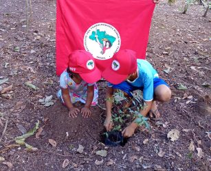 Plantio de árvores durante a Jornada no município de Marianópolis, no Tocantins. Foto: MST no TO