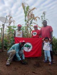 Plantio no Acampamento Salete Moreno, no Maranhão. Foto MST MA